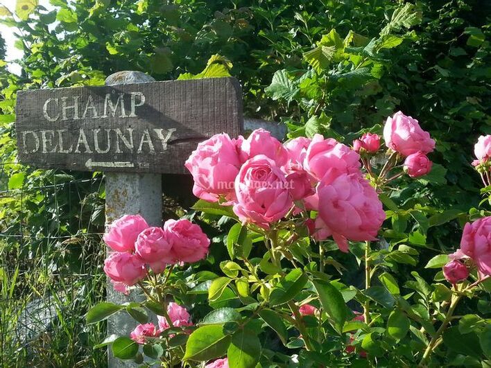 Domaine Champ Delaunay