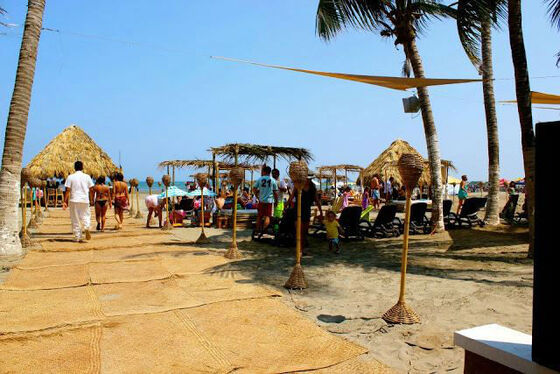 Bocamboo Playa Resort & Golfito