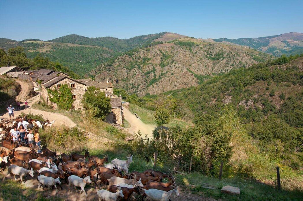 La Ferme des Cévennes