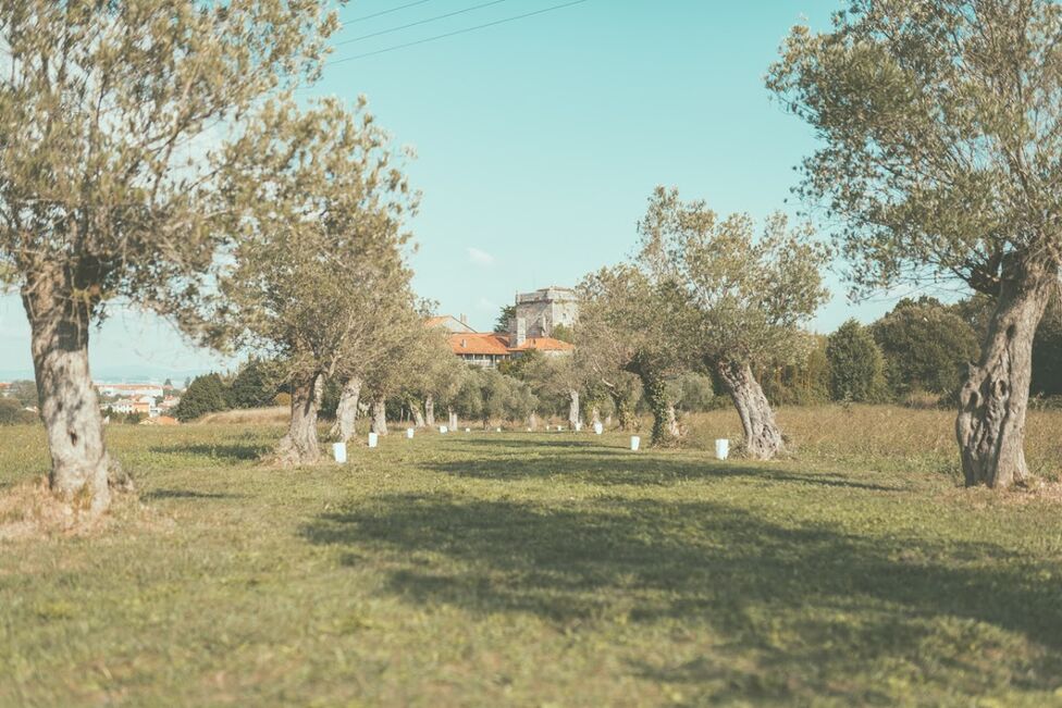 Pazo Torre de Xunqueiras