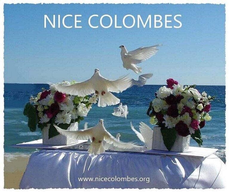 Nice colombes