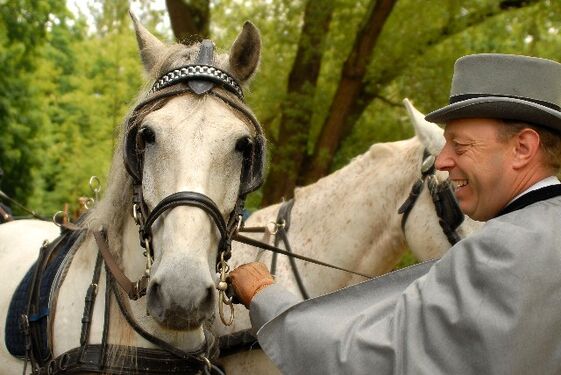 Wilhelm Schuh Hochzeits- und Kutschfahrten