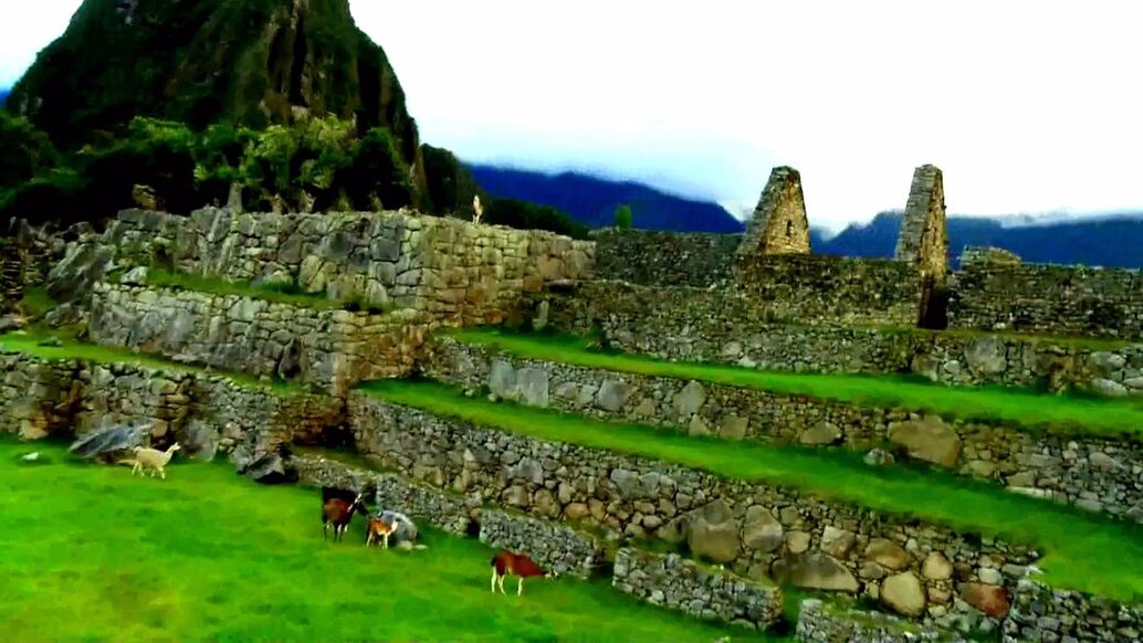 Fertur Perú Travel