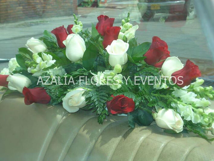 Azalia Flores y Eventos