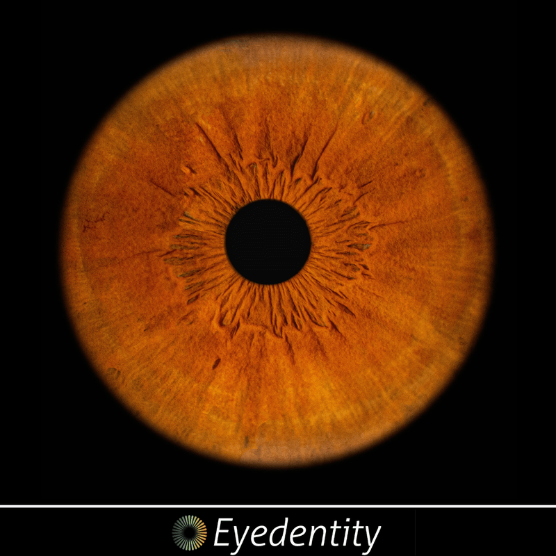 EYEDENTITY