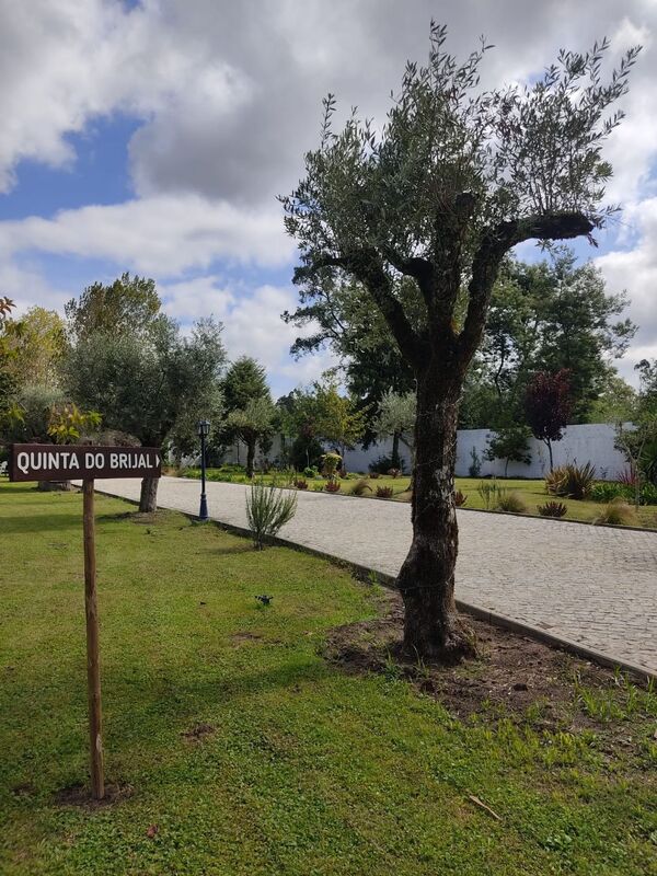 Quinta do Brijal