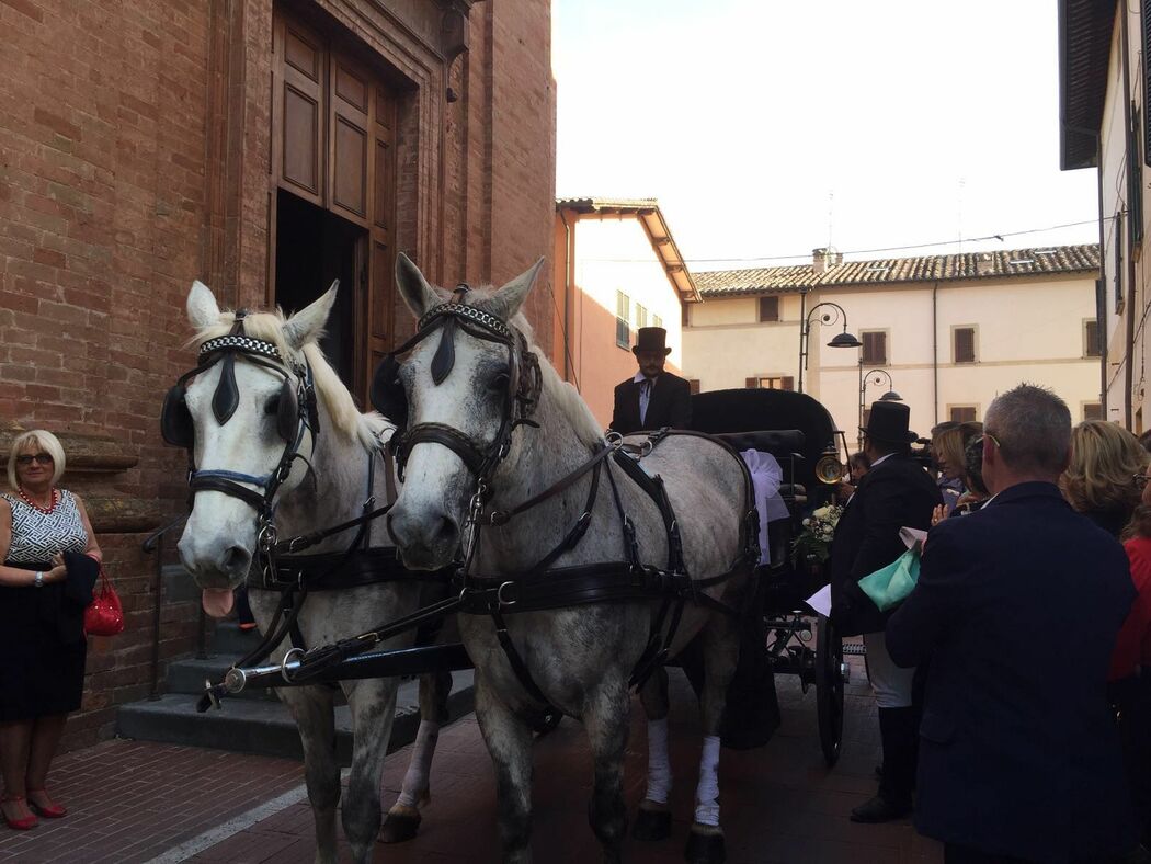 Il Vetturino di Proietti Coraggi Christian