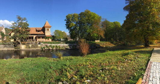 La Drille au Bord de l'Eau