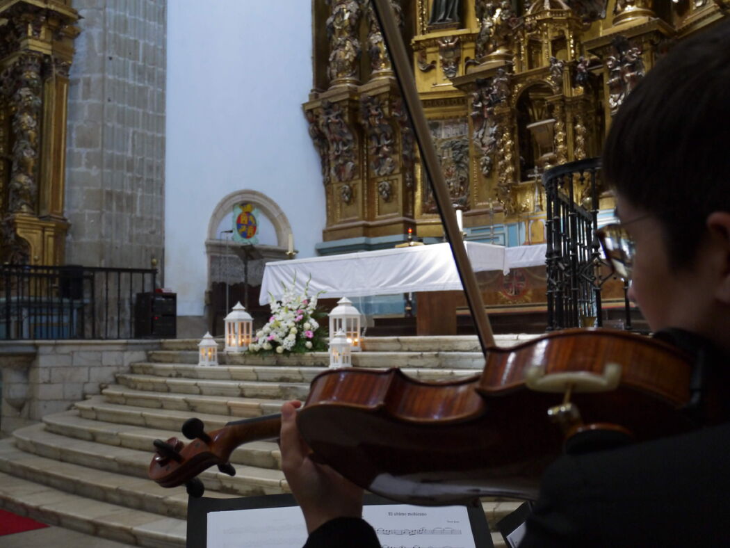 Cuarteto Volare Corda