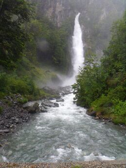 Purapatagonia