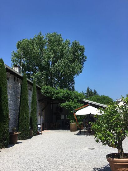 Tenuta Di Blasig