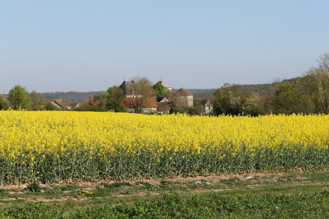 Ferme de la Haute Maison