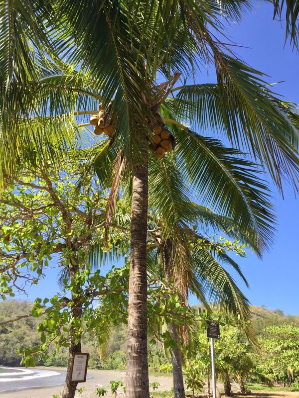 Vacances au Costa Rica