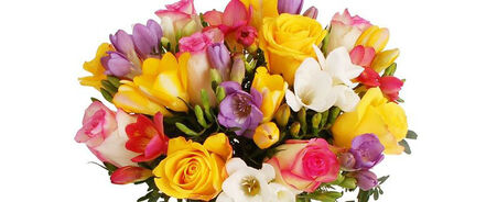 Andalasia Flores y Bouquets
