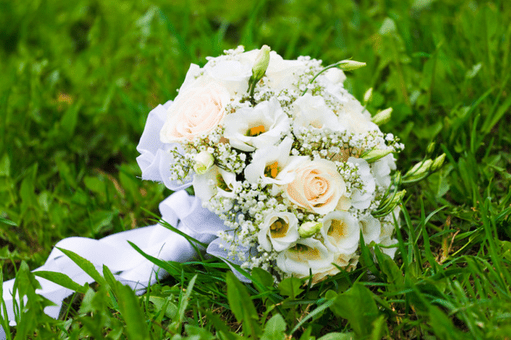 Blumen- und Gartencenter Wolf