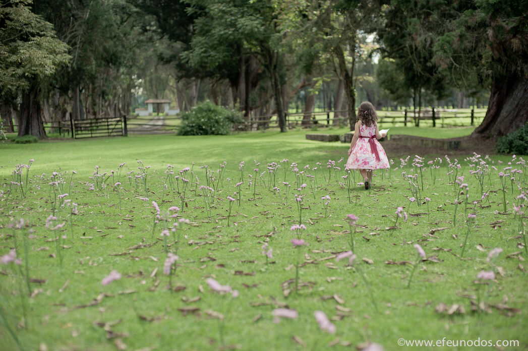 Hacienda los Laureles