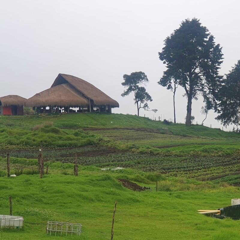 Restaurante Herbario