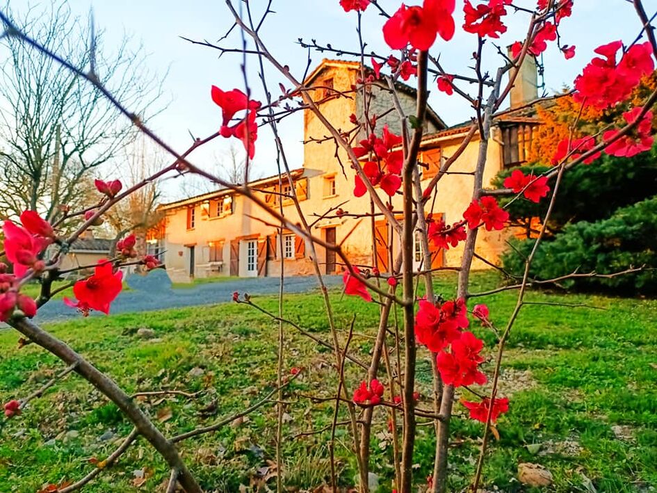 Les Lauriers de la Bastide