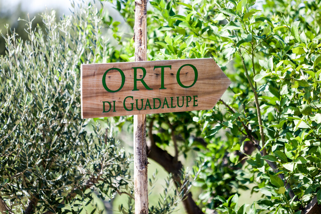 Guadalupe Tuscany Resort