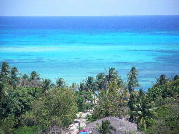 Coconut Paradise Lodge