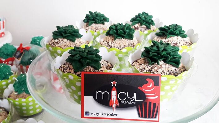 Micyl Cupcakes