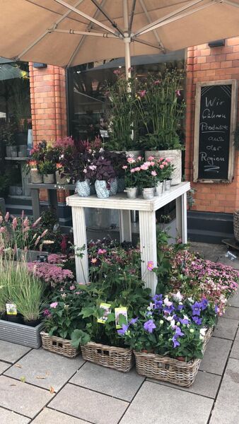 Blumen-Boutique-Wingen