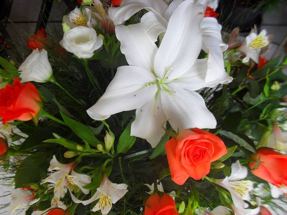 Floricultura Tata Flores