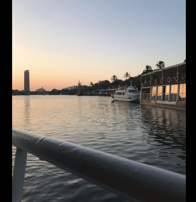 Cruceros Torre del Oro