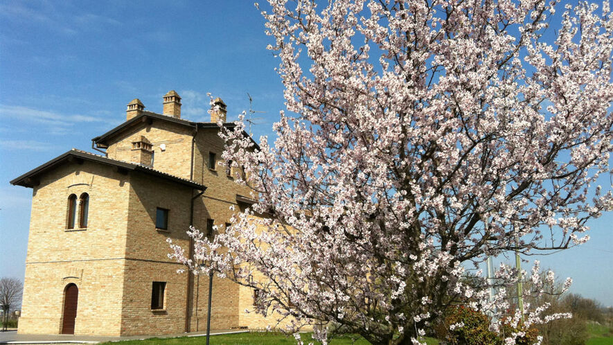 Agriturismo La Roveda