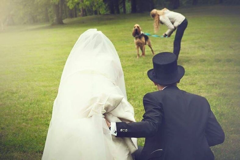 Wedding Dog Specialist - Martina Ossola