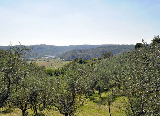 Locanda degli Ulivi