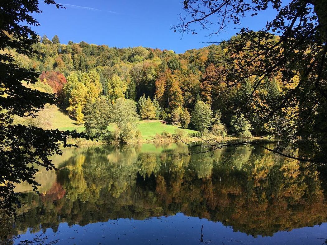 Arboretum Du Vallon de l'Aubonne