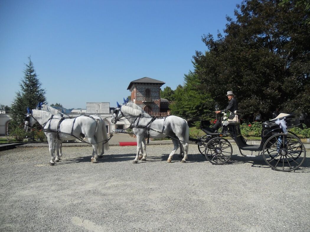 White Horse Carrozze