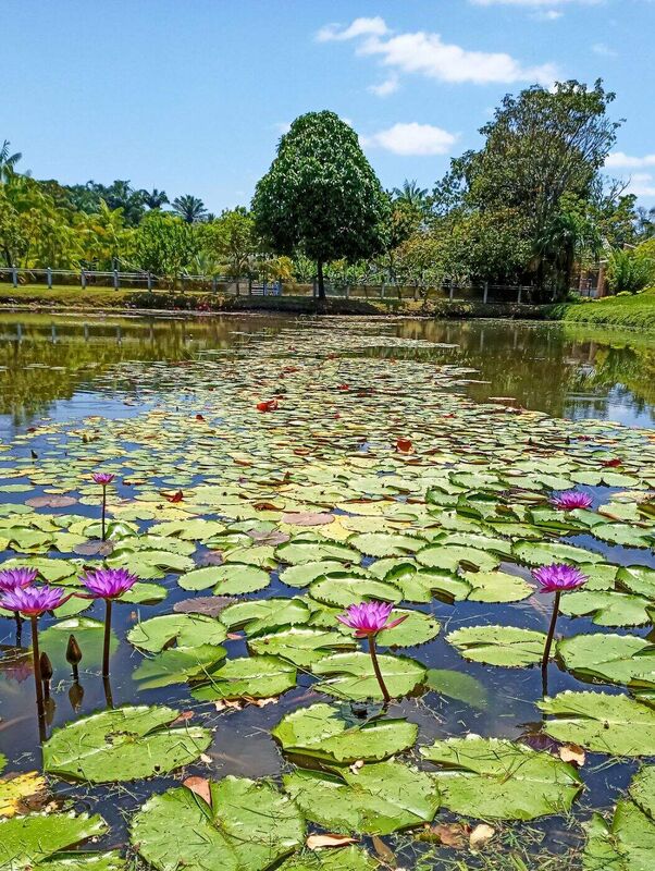 Lago Doce