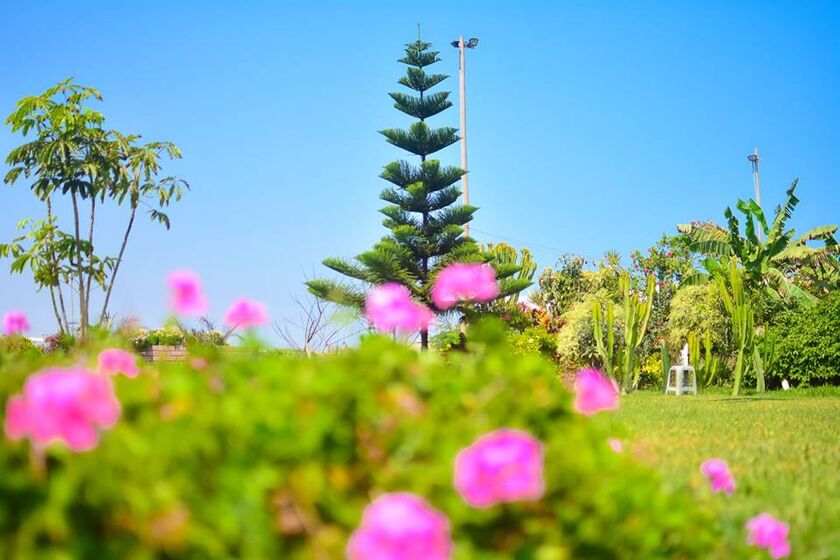 Casa De Campo Las Flores De Moche