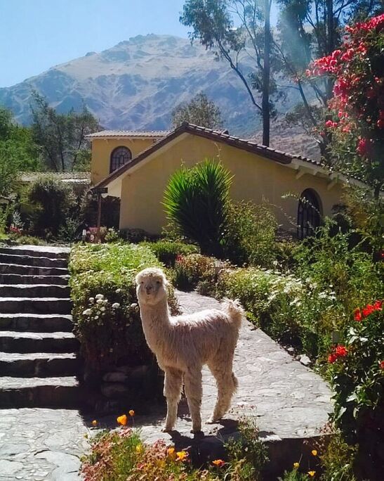 Hotel Hacienda del Valle