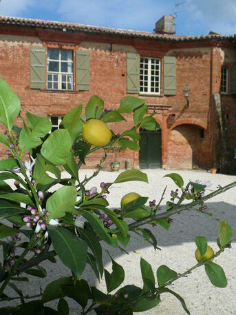 Château de Savenès