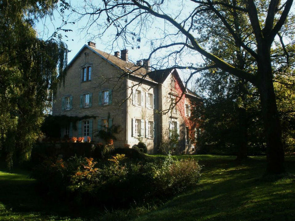 Château de Roche sur Linotte