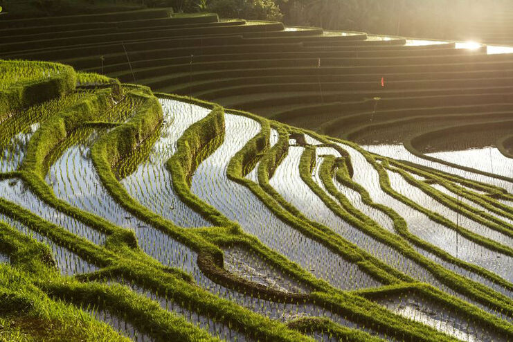 Indonesia en tus manos