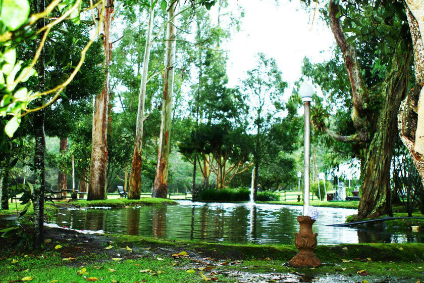 Hacienda La Cerámica