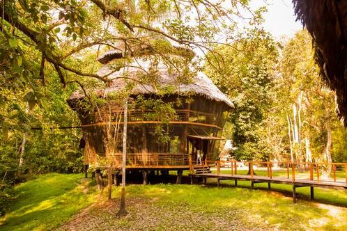 Treehouse Lodge