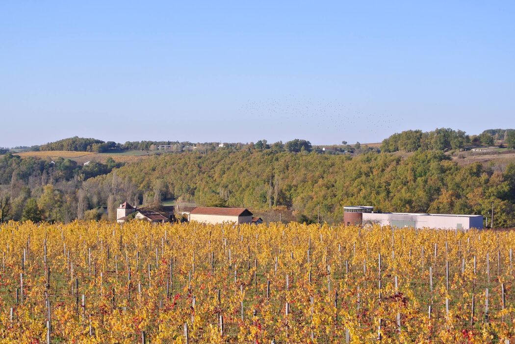 Château Cluzeau