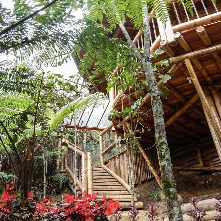 Adriana's Bambú-Lodge