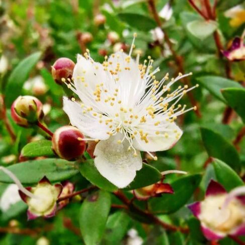 Gärtnerei Dobler