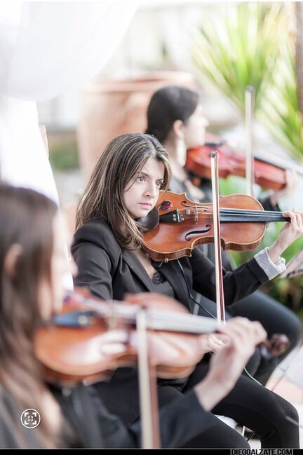 Cuarteto Ámbar