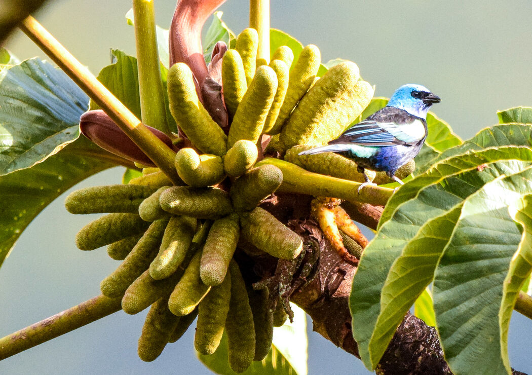 Los Saltos Ecoparque