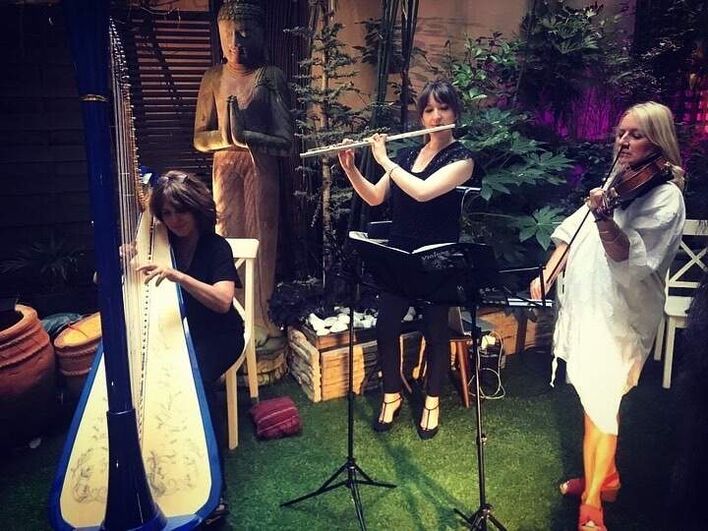 Wedding Harpists and Musicians