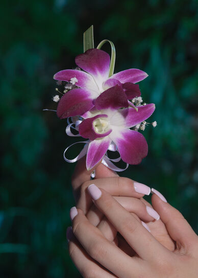 Floristería Hojas Blancas