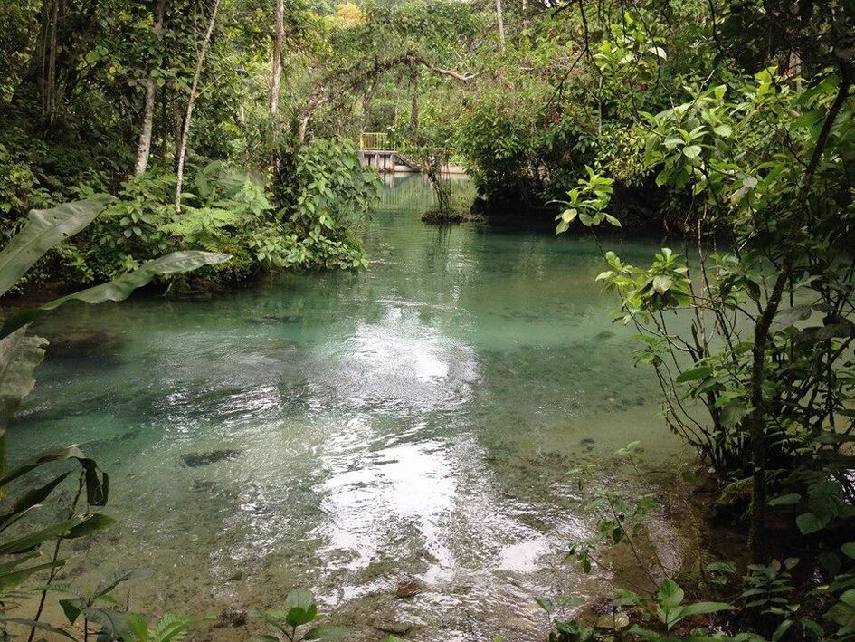 Martin Zamora Tarapoto Operadores de Turismo y Logística