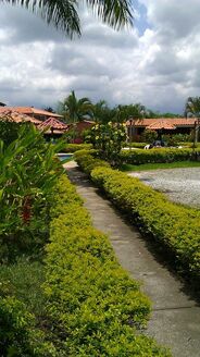 Finca Hotel Heliconias Doradas